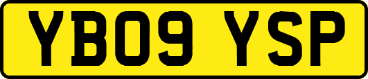 YB09YSP