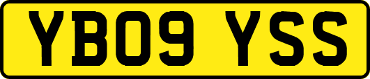 YB09YSS