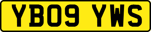 YB09YWS