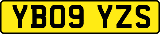 YB09YZS