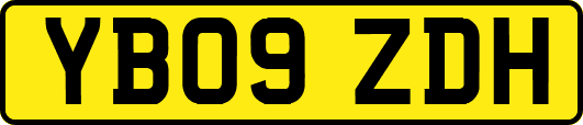 YB09ZDH