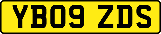 YB09ZDS