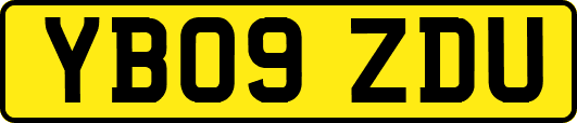 YB09ZDU