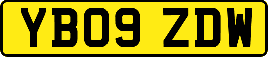 YB09ZDW