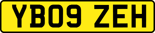 YB09ZEH
