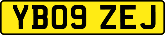 YB09ZEJ