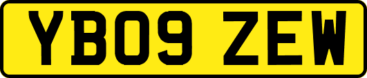 YB09ZEW