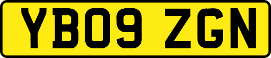 YB09ZGN