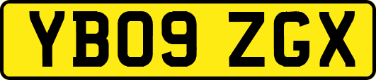 YB09ZGX
