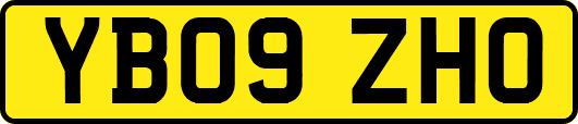 YB09ZHO