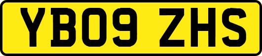 YB09ZHS