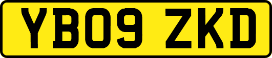 YB09ZKD