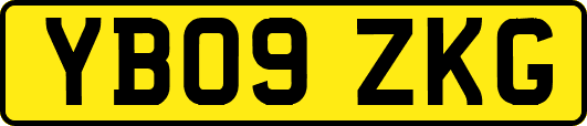 YB09ZKG