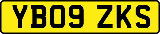 YB09ZKS