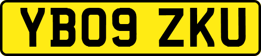 YB09ZKU