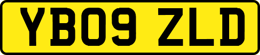YB09ZLD