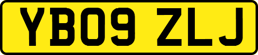 YB09ZLJ