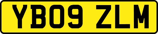 YB09ZLM