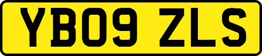 YB09ZLS
