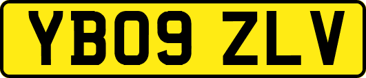 YB09ZLV