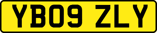 YB09ZLY