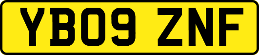 YB09ZNF