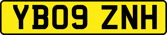 YB09ZNH