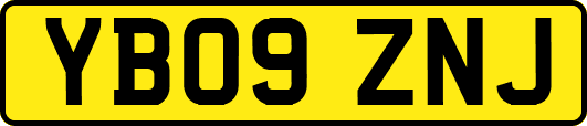 YB09ZNJ