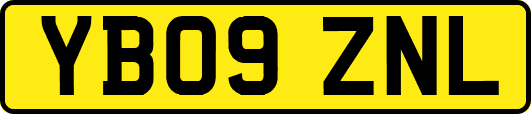 YB09ZNL