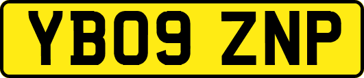 YB09ZNP