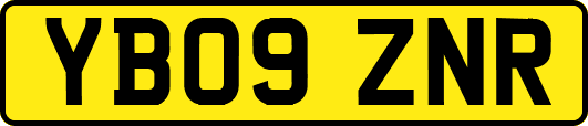 YB09ZNR