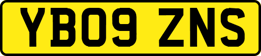 YB09ZNS