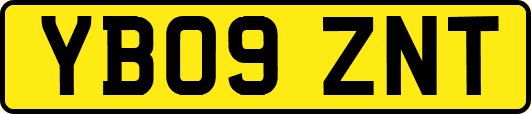 YB09ZNT
