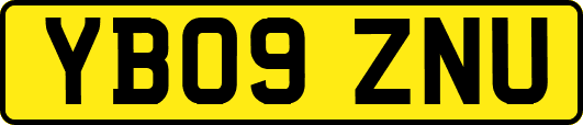 YB09ZNU