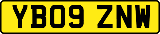 YB09ZNW