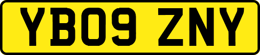 YB09ZNY
