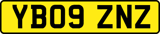 YB09ZNZ