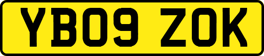 YB09ZOK