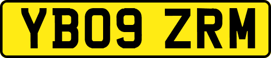 YB09ZRM