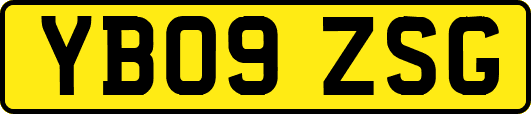 YB09ZSG