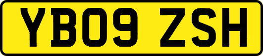 YB09ZSH