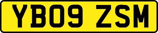 YB09ZSM