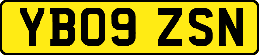 YB09ZSN
