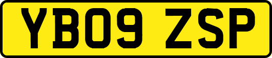 YB09ZSP