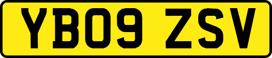 YB09ZSV
