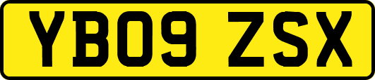 YB09ZSX