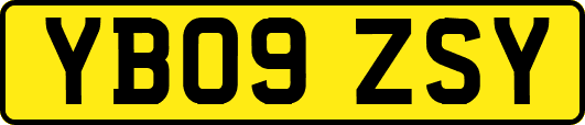 YB09ZSY