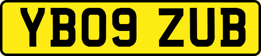 YB09ZUB