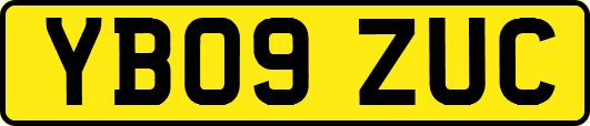 YB09ZUC