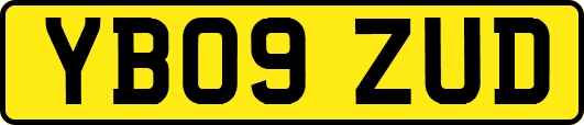 YB09ZUD